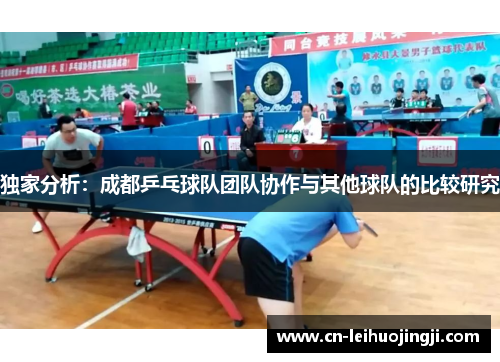 独家分析：成都乒乓球队团队协作与其他球队的比较研究