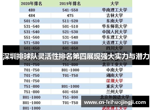 深圳排球队灵活性排名第四展现强大实力与潜力
